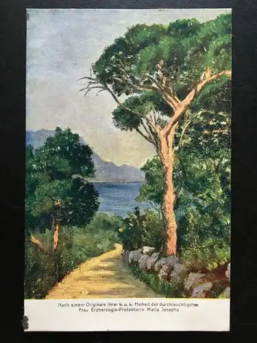 Waldweg zum See - Original von Erzherzogin-Protekt. Maria Josepha 270003 TH