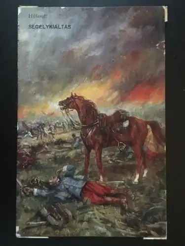Hilferuf! (A.Gassner) - Pferd bei gefallenen Soldat 270068 TH