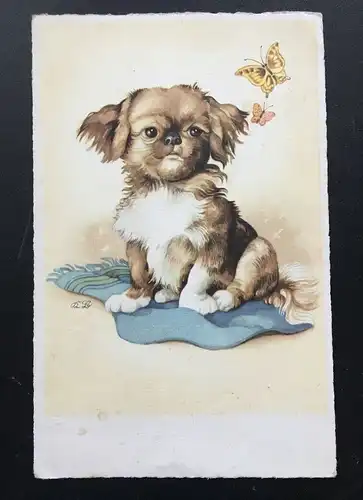 Kleiner Hund mit Schmetterling - Künstlerkarte 400359 TH F