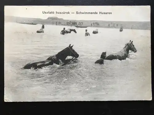 Schwimmende Husaren - Soldaten Pferd - Usztato huszarok 270020 TH