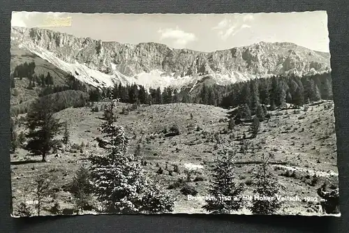 Brunnalm Hoher Veitsch Berg Gebirge Mürztal Steiermark Österreich 401024 TH A