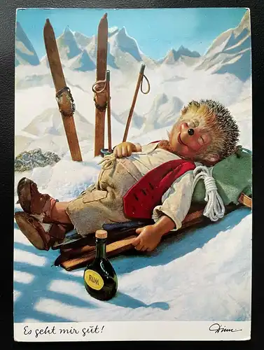 Mecki Igel Es geht mir gut Schifahren Berg Schnee Rum Puppe Hörzu Diehl 400603TH