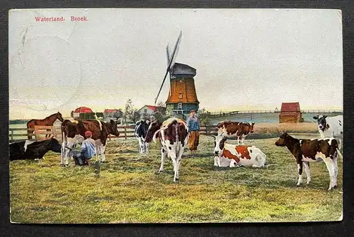 Waterland Broek Kuh Windmühle Bauer Landschaft Niederlande Holland 410111 TH