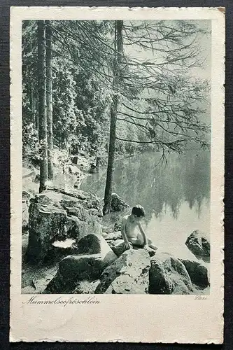 Mummelsee Fröschlein Schwarzwald Ufer Baden-Württemberg Deutschland 410158 TH C