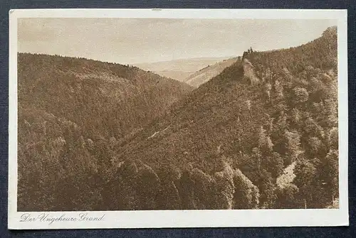 Der Ungeheure Grund Berg Gebirge Wald Thüringen Deutschland 410768 TH