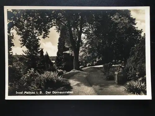 Insel Mainau im Bodensee - Der Dornauszieher - Statue - Baum 180181 TH