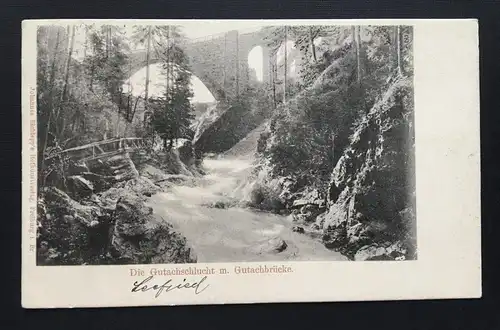 Gutachschlucht Gutachbrücke Schwarzwald Baden-Württemberg Deutschland 400863 A