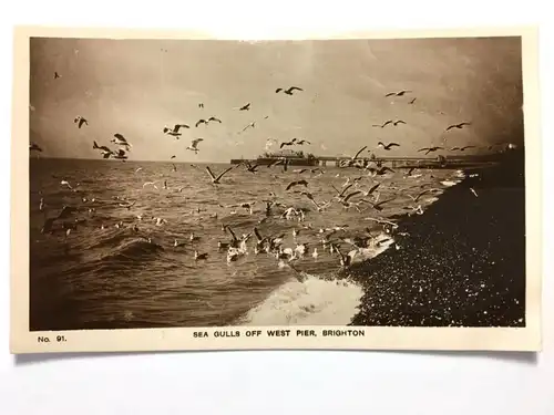 Brighton - Sea Gulls off West Pier - Seevögel - England 40230 TH