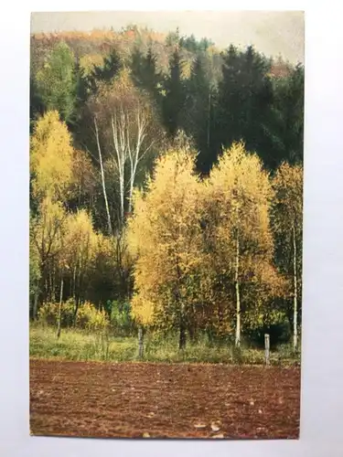 Herbstpracht (Dr.W.Thiem) - Wald/Bäume im Herbst - Künstlerkarte 30163 TH