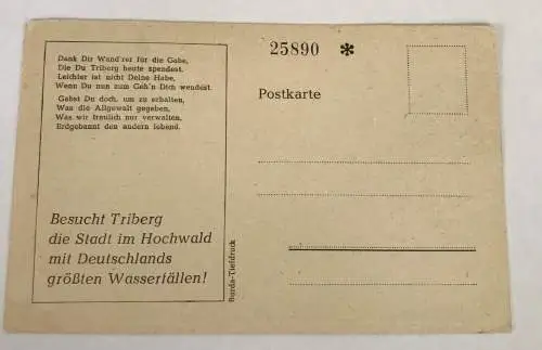 AK, Baden Württemberg, Triberg, Wasserfälle (40092 BW)