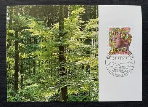 Brief Wald AR Natur Umweltschutz Mischwald 1986 Schweiz ca.14,9x10,4cm 410322