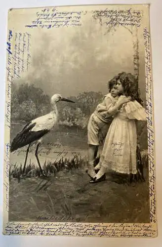 Kinder Junge und Mädchen am See Storch um 1907  84027