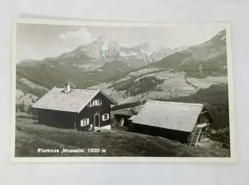 Salzburg Filzmoos Moosalm auf 1330m 60027