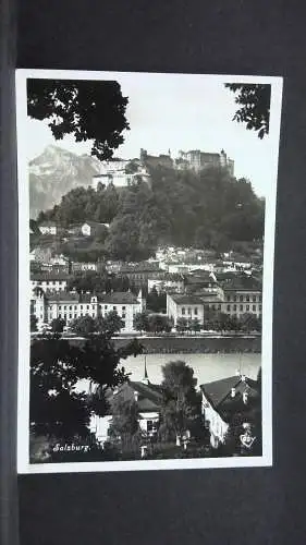 Salzburg Stadtansicht Hohensalzburg Berge Salzach Zweige JW 753214