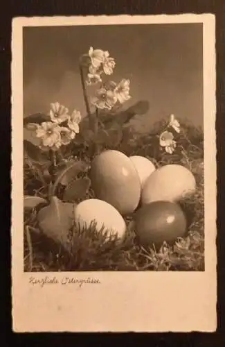 Ostergrüße Ostereier Mit Schlüsselblumen 3210 gr I