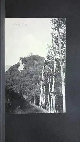 Blick auf Trifels Berg Wald 140467 jw J