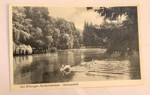 AK, Hessen, Bad Wildungen, Reinhartshausen, Schwanenteich (40007 BW)