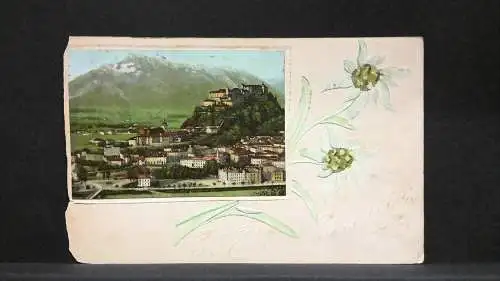 Salzburg Schloss Hohensalzburg Edelweiß JW165764