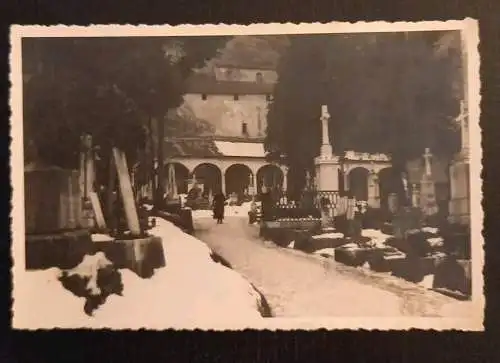 Salzburg Friedhof St.Peter 281354 gr K