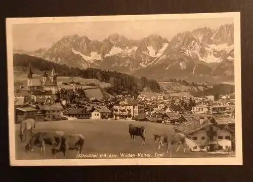 Kitzbühel Mit Wilden Kaiser Kühe 70012 gr I