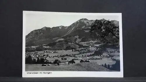 Unterwössen mit Hochgern Berg Kühe 140421 jw J