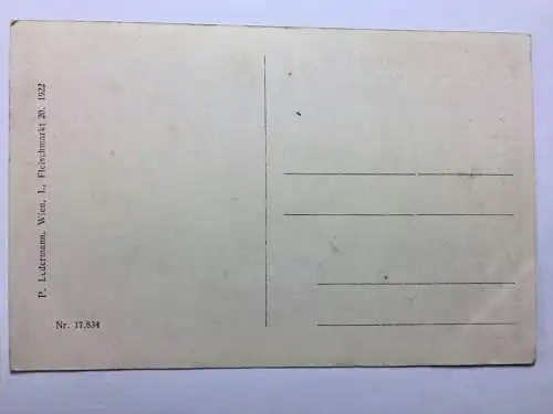 Ötschergräben - Holzbrücke über Ötscherbach 30120 TH ShBer