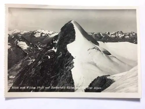 Blick vom Wilden Pfaff auf Zuckerhütl & Ötztaler Alpen 40130 TH A