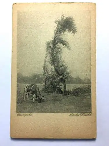 Baumstudie (A. Niklitschek) - Kuh auf Wiese bei Baum - Künstlerkarte 50015 TH D