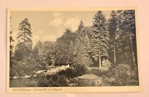 AK, Hessen, Bad Wildungen, Viktorquelle, Kurpark (40009 BW)