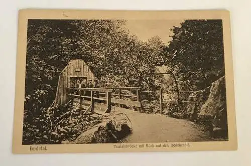 Ansichtskarten, Bodetal, Teufelsbrücke, Blick auf Bodekessel (40038 BW)