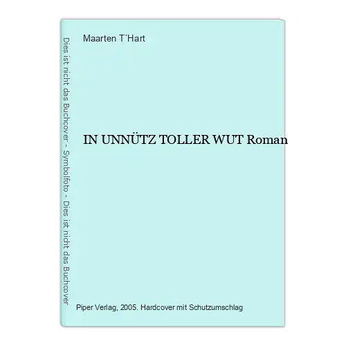 1197 Maarten T´Hart IN UNNÜTZ TOLLER WUT Roman HC NIEDERLÄNDISCHER ROMAN