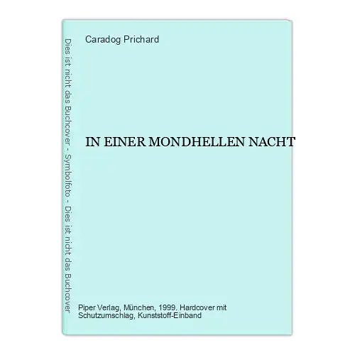 Caradog Prichard IN EINER MONDHELLEN NACHT Roman Piper HC +Abb