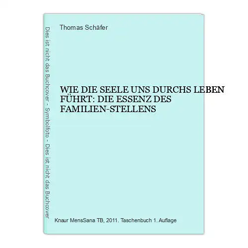 6624 Thomas Schäfer WIE DIE SEELE UNS DURCHS LEBEN FÜHRT: DIE ESSENZ D