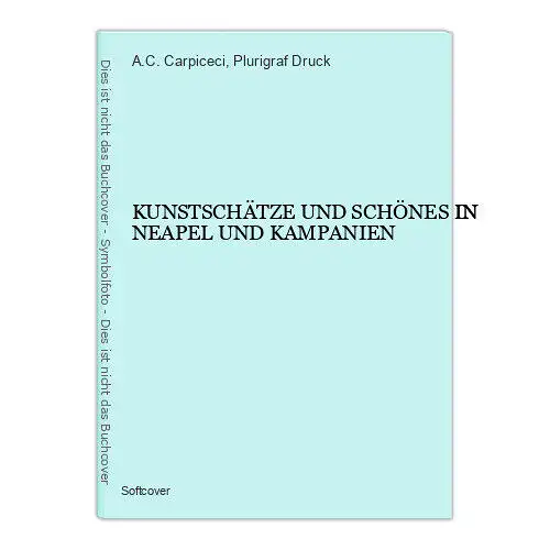 7194 A.C. Carpiceci KUNSTSCHÄTZE UND SCHÖNES IN NEAPEL UND KAMPANIEN +Abb