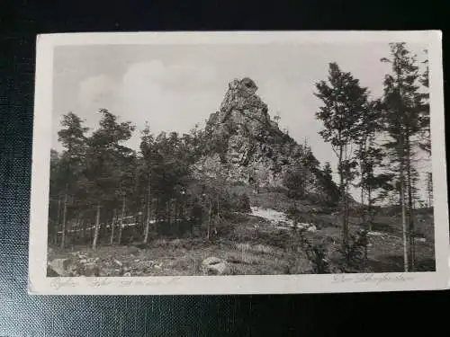 Oybin-Töpfer Berg Wald Wiese 402502 WM F