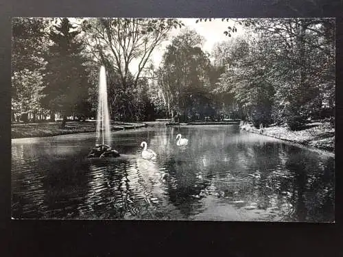 Schwäne mit Springbrunnen - Park Fluss - Künstlerkarte 967 TH