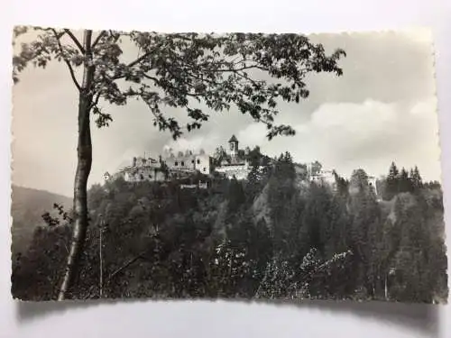 Ruine Landskron bei Villach 11119