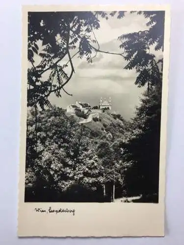 Wien - Leopoldsberg 534