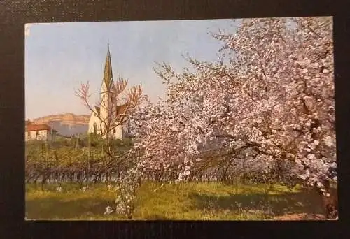 Obstblüte In Tirol Mit Kirche Gr1  5551 J