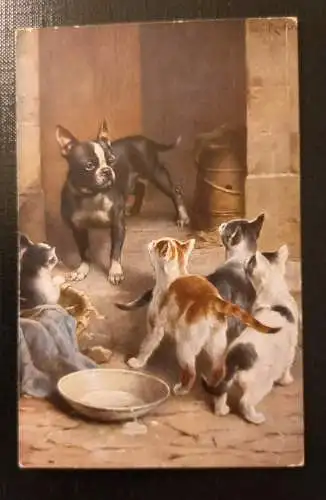 Künstlerkarte Hund und Katze Katzen Bulldogge  Gr1 J