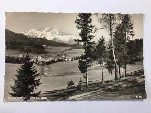 Mitterbach mit dem Ötscher 537