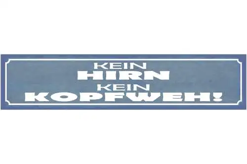 Schild Kein Hirn Kein Kopfweh Schmerzen Gehirn Migräne  46 x 10 Blech od. Holz