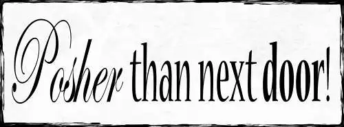 Schild Posher Than Next Door Nobel Schick Vornehm Nebenan 27x10 Blech od.Holz