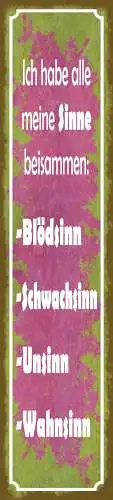 Schild Alle Meine Sinne Beisammen Blödsinn Unsinn Wahnsinn 46 x 10 Blech od.Holz