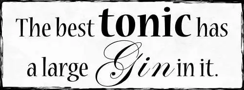 Schild The Best Tonic Has A Large Gin In It Alkohol Getränk 27x10 Blech od.Holz