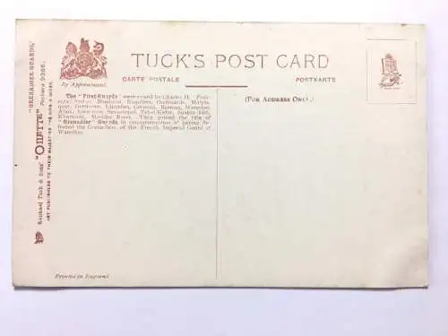 Granadier Guards - Grenadier-Garde - Sergeant Major - Feldwebel 40184 TH