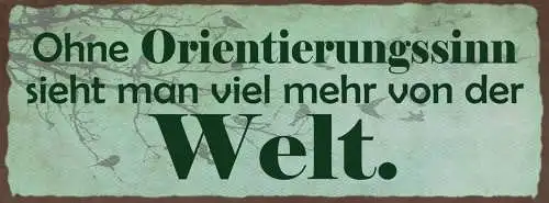 Schild Ohne Orientierungssinn Sieht Man Mehr Von Der Welt 27x10 Blech od.Holz