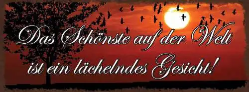 Schild Das Schönste Auf Der Welt Ist Ein Lächelndes Gesicht 27x10 Blech od.Holz