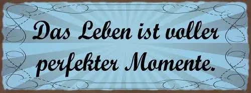 Schild Das Leben Ist Voller Perfekter Momente Erfahrungen 27x10 Blech od.Holz
