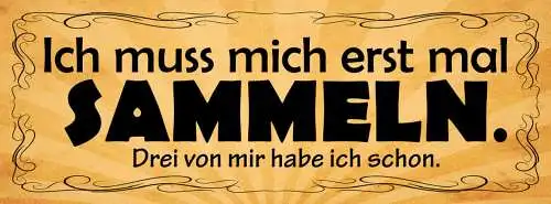 Schild Ich Muss Mich Erstmal Sammeln 3 Von Mir Hab Ich Schon 27x10 Blech od.Holz